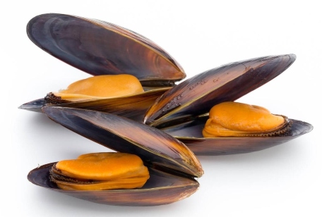 Empanada gallega de mejillones - MORALON - 2