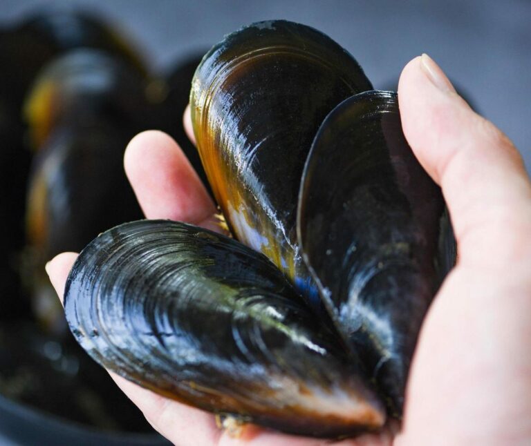 empanada de mejillones 14