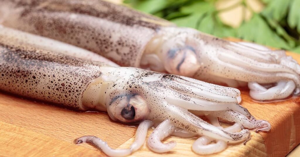 calamares en su tinta 4