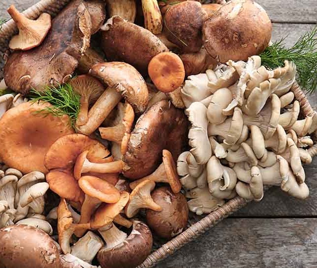 Receta de otoño 5