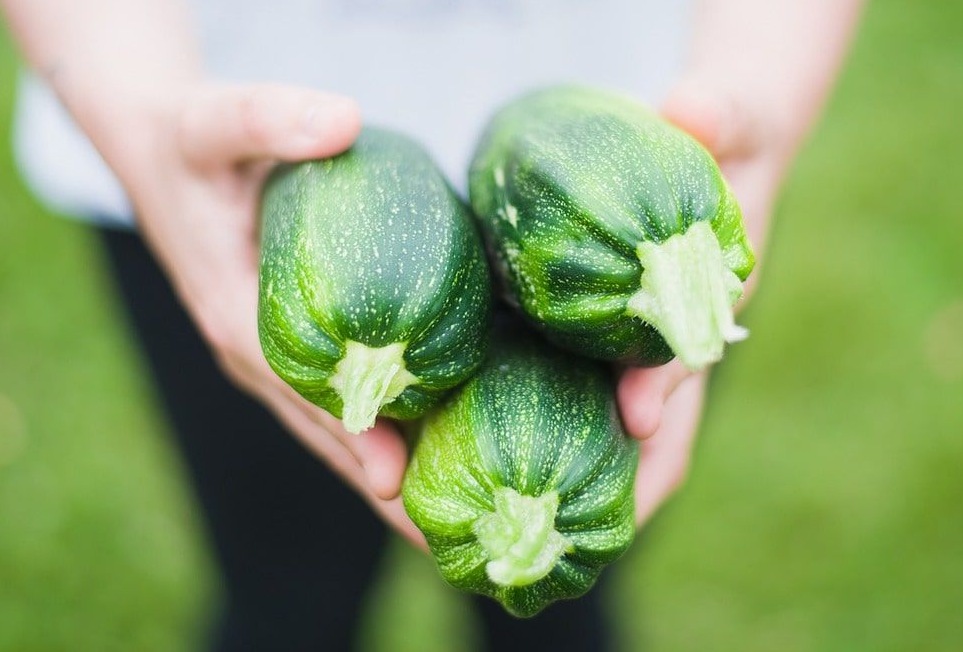 Verduras de temporada 2