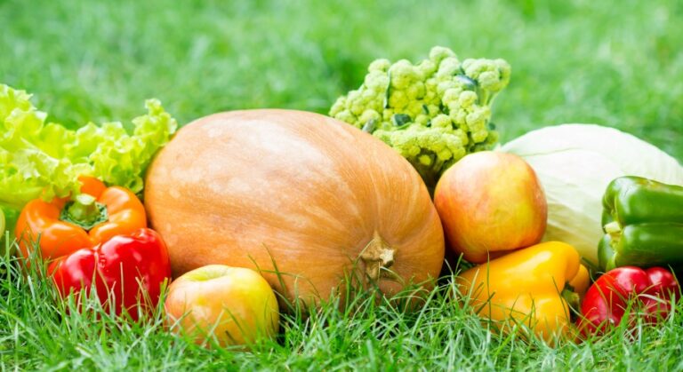 Verduras de temporada 5