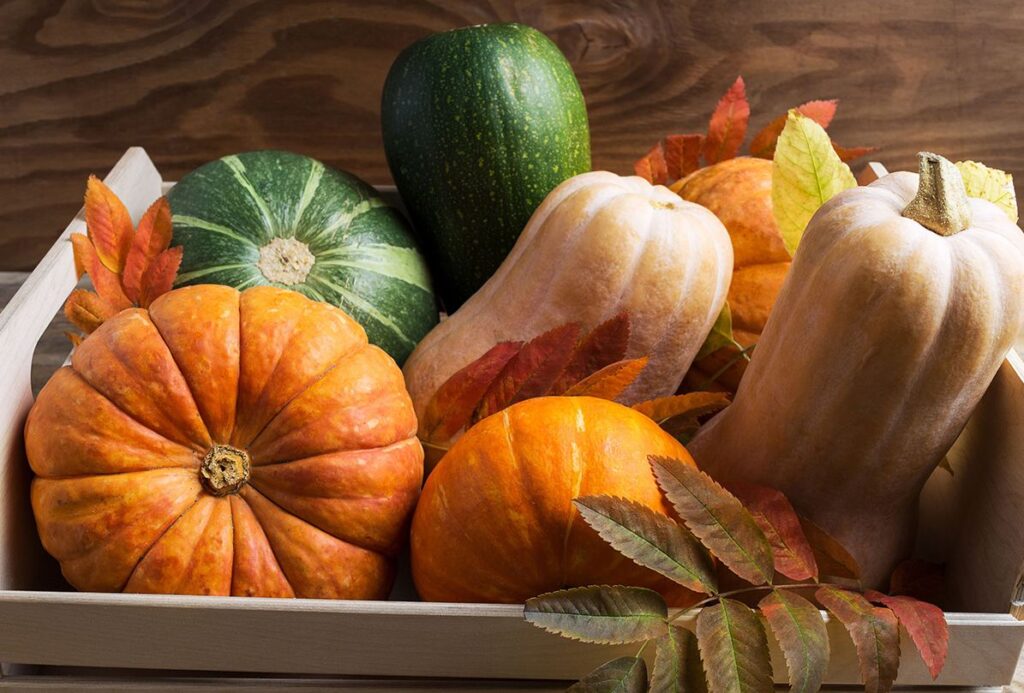 empanadas de calabaza 20