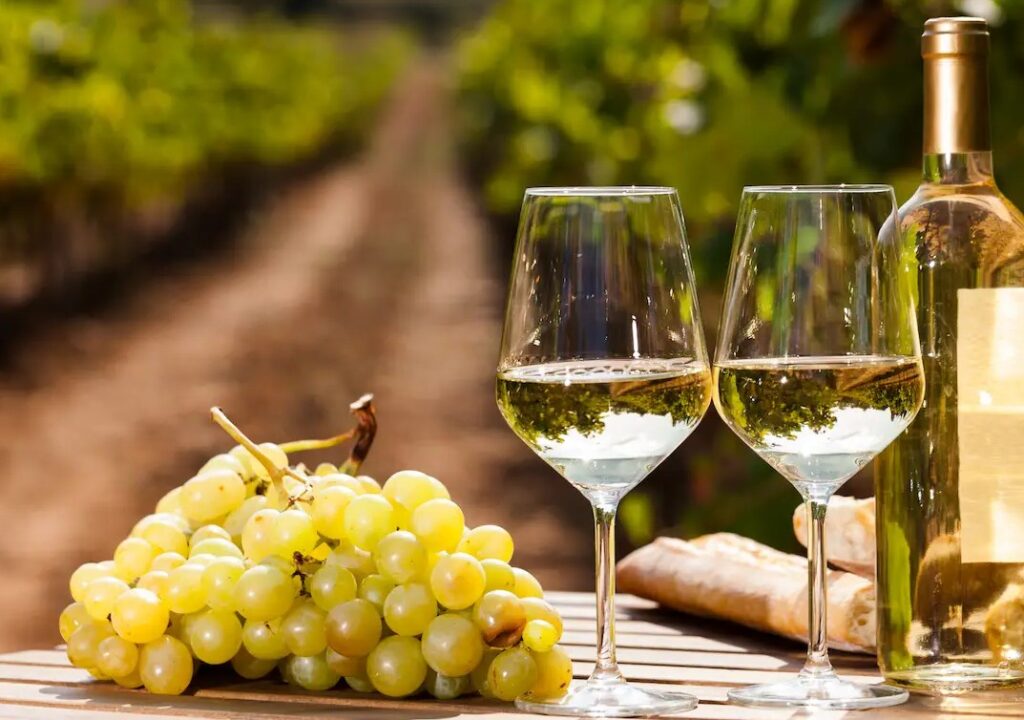masa con vino blanco 20